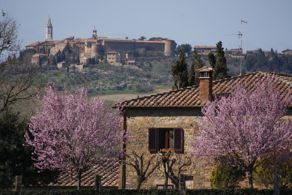 Agriturismo Casalpiano Pienza Ngoại thất bức ảnh