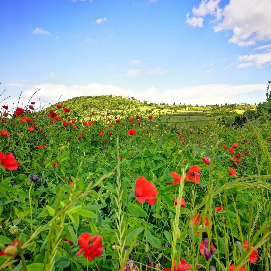 Agriturismo Casalpiano Pienza Ngoại thất bức ảnh