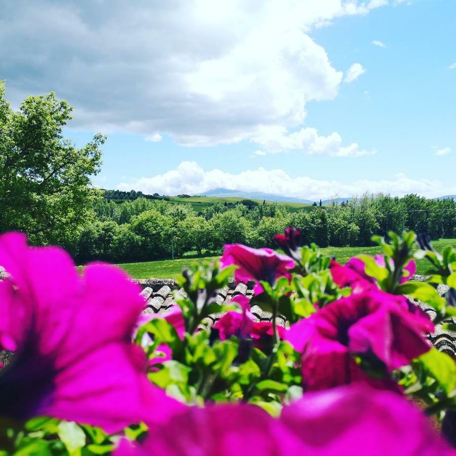 Agriturismo Casalpiano Pienza Ngoại thất bức ảnh